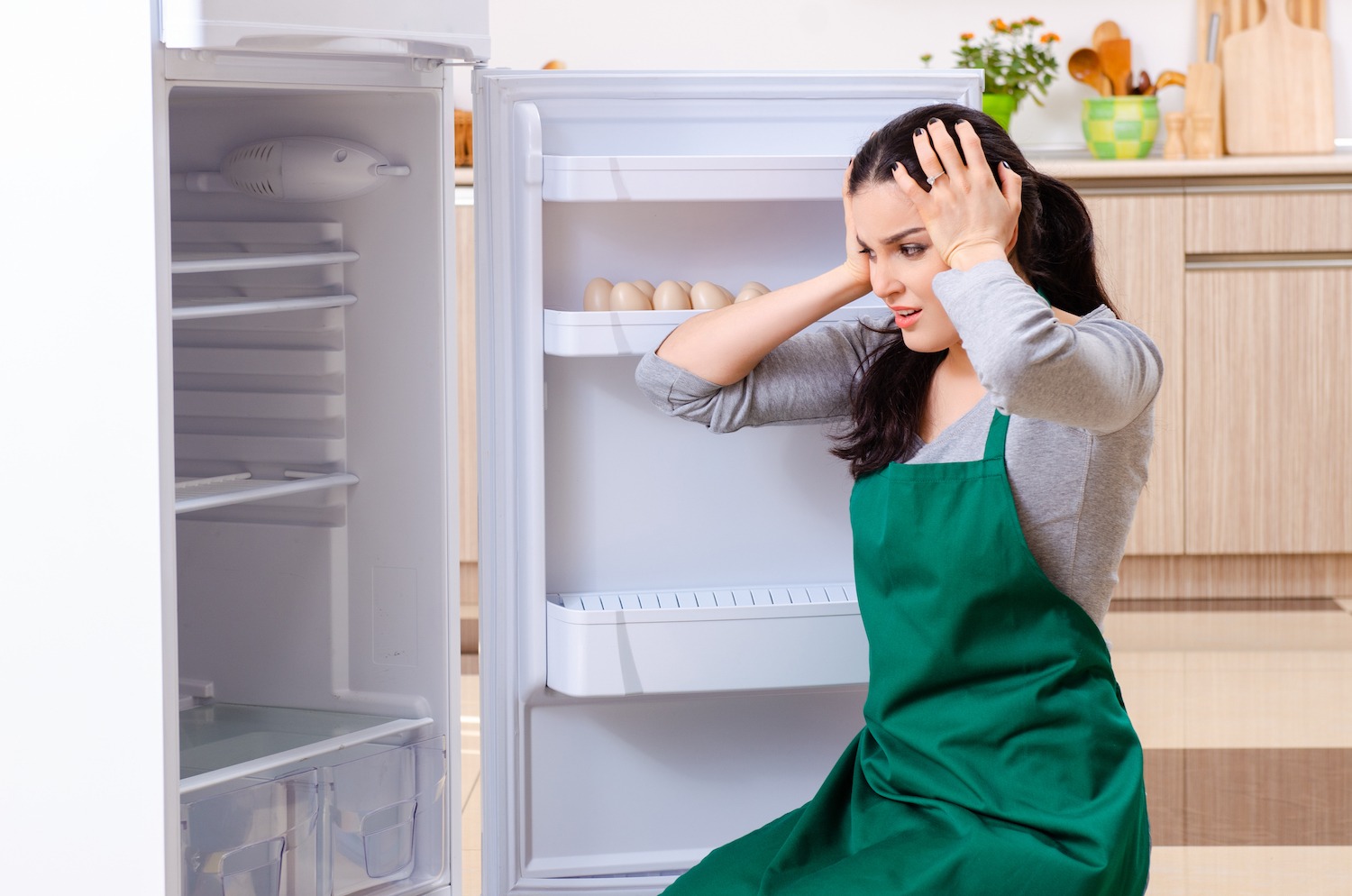 DIY Refrigerator Repair: Troubleshooting and Fixes image